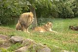 leipzig zoo-01_07_2011_zoo_allgemein_243